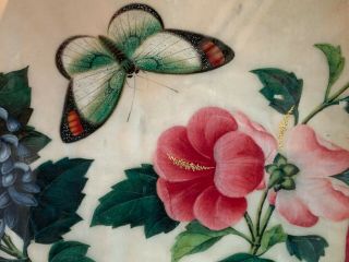 Beautifully Painted 19th Century Chinese Pith Painting Flowers with Butterfly 2