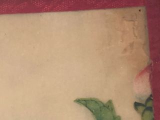 Beautifully Painted 19th Century Chinese Pith Painting Flowers with Butterfly 4