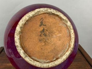 18th/19th C.  Chinese Flambé - Glazed Vase 9
