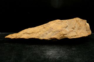 ANCIENT Quartzite HAND AXE - Acheulean Civilization - 19.  5 cm long - SAHARA 3