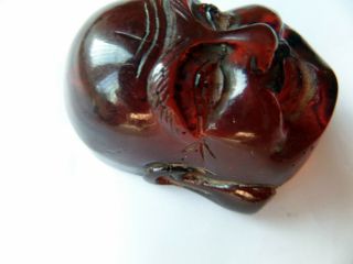 1920 ' s Carved Cherry Bakelite Budai Head good luck Netsuke Toggle Japanese 2