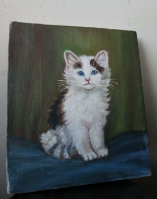 Antique late 19thc early 1900 ' s FOLK ART oil painting on canvas of a CAT Kitten 12