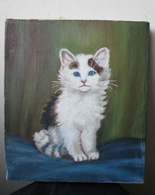Antique late 19thc early 1900 ' s FOLK ART oil painting on canvas of a CAT Kitten 2