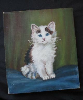 Antique late 19thc early 1900 ' s FOLK ART oil painting on canvas of a CAT Kitten 4