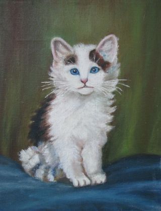 Antique late 19thc early 1900 ' s FOLK ART oil painting on canvas of a CAT Kitten 6