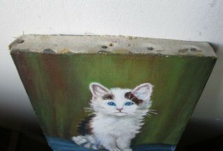 Antique late 19thc early 1900 ' s FOLK ART oil painting on canvas of a CAT Kitten 8