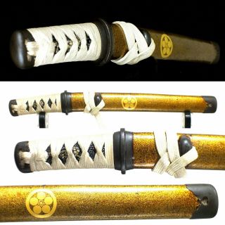 182 Japanese Samurai Edo Antique scabbard tanto sword aikuchi koshirae 3