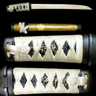 182 Japanese Samurai Edo Antique scabbard tanto sword aikuchi koshirae 4