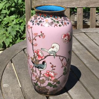 Japanese Cloisonne Vase Large With Birds And Flowering Branches On Puce Ground