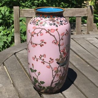 Japanese Cloisonne Vase Large with Birds and Flowering Branches on Puce Ground 2
