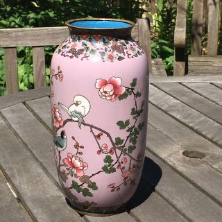 Japanese Cloisonne Vase Large with Birds and Flowering Branches on Puce Ground 5
