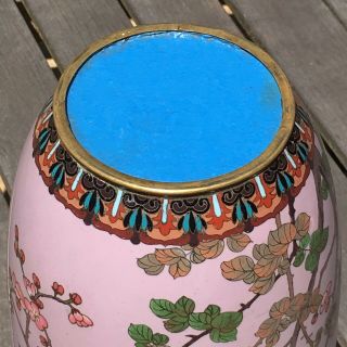Japanese Cloisonne Vase Large with Birds and Flowering Branches on Puce Ground 7