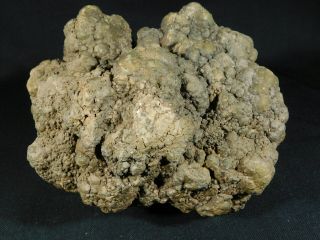 A HUGE Fossil DINOSAUR COPROLITE or Dino CRAP From Jurassic Utah 5677gr e 10