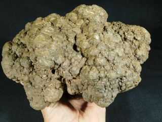 A HUGE Fossil DINOSAUR COPROLITE or Dino CRAP From Jurassic Utah 5677gr e 11