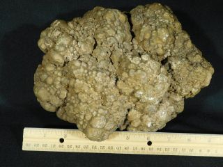 A HUGE Fossil DINOSAUR COPROLITE or Dino CRAP From Jurassic Utah 5677gr e 3