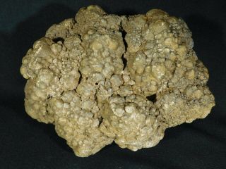 A HUGE Fossil DINOSAUR COPROLITE or Dino CRAP From Jurassic Utah 5677gr e 6