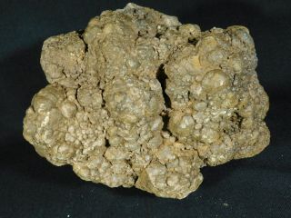 A HUGE Fossil DINOSAUR COPROLITE or Dino CRAP From Jurassic Utah 5677gr e 7