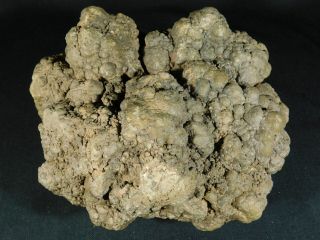 A HUGE Fossil DINOSAUR COPROLITE or Dino CRAP From Jurassic Utah 5677gr e 9