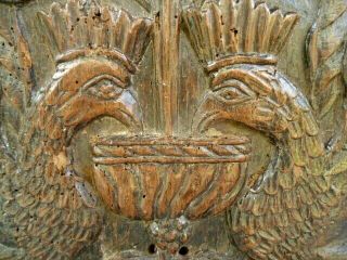 Rare 17th Century Oak Carved Panel Peacocks Feeding From The Tree Of Life