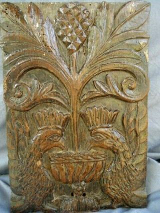 RARE 17TH CENTURY OAK CARVED PANEL PEACOCKS FEEDING FROM THE TREE OF LIFE 4