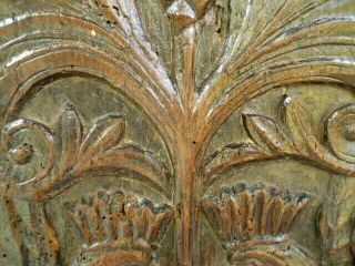 RARE 17TH CENTURY OAK CARVED PANEL PEACOCKS FEEDING FROM THE TREE OF LIFE 8