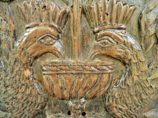 RARE 17TH CENTURY OAK CARVED PANEL PEACOCKS FEEDING FROM THE TREE OF LIFE 9