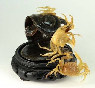 Early Meiji Japanese Water Buffalo Horn Carving Of Crabs On Surf Wave Okimono