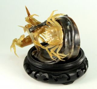 Early Meiji Japanese Water Buffalo Horn Carving of Crabs on Surf Wave Okimono 5