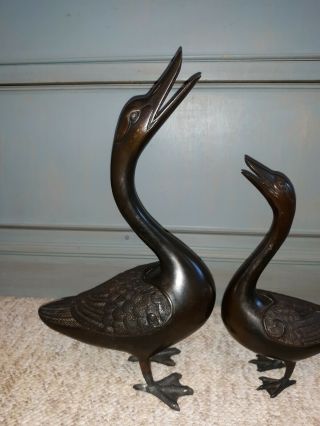 Old or Antique Chinese Bronze Duck Sculpture Pair 2