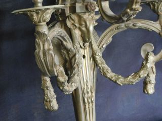 Pair Antique Bronze Ram Head Sconces Louis XVI Style After Jean Delafosse 4