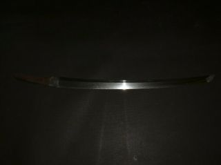 WAKIZASHI (sword) w/White sheath : KANEMICHI : EDO : 23.  6 × 15.  6 