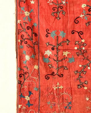 istalifi: An Archaic Antique Uzbek Silk/Cotton Embroidered Suzani circa 1900. 3