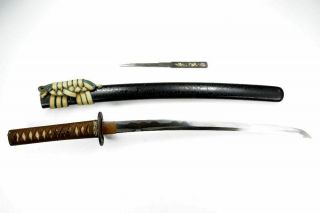 DAIMYO Registry: Japanese Wakizashi Sword 