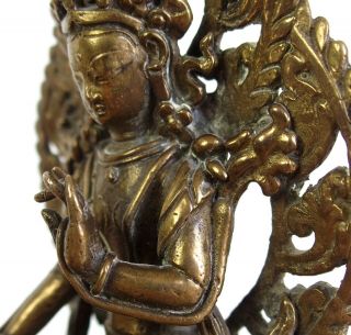 Fine antique Chinese Sino - Tibetan 18th century bronze Buddha 11