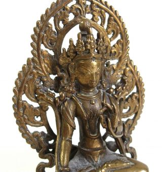 Fine antique Chinese Sino - Tibetan 18th century bronze Buddha 6