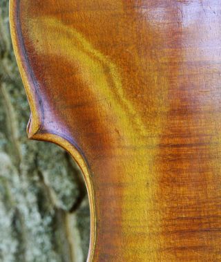 , ITALIAN old,  antique 4/4 MASTER violin - PLAYABLE 8