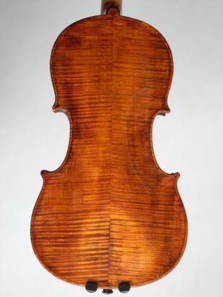 Old Violin 4/4 Labelled Antonius Comuni 1823