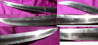 Japanese Sword / Wakizashi in Shrasaya / Signed 7