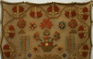 MID 19TH CENTURY MOTIF SAMPLER BY MARY HERBERT AGED 11 - 1858 2