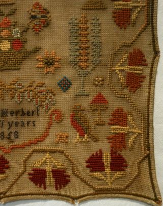 MID 19TH CENTURY MOTIF SAMPLER BY MARY HERBERT AGED 11 - 1858 7