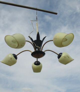 5 Arm Mid Century Modern Chandelier Black Leaves Shades Gold Gild era stilnovo 7