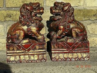 Victorian Antique Wood carved Asian Temple Lions Foo dogs Te Ling pair 10