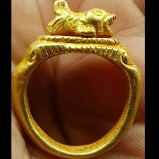 High Carat Gold Roman Antique Wonderful Rare Ring With Fish 58