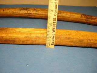 Antique Pair Wood Wooden Neck Shoulder Yoke Pole Carry Farm Water Milk Primitive 9