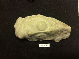 (gd - Sjr) Pre - Columbian Sdouthern Arawak Carved Grenadaite Head Ca300bc - 600ad.
