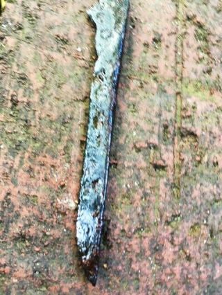 900 AD Antique Viking Dagger N sword rapier 6