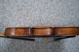 Antique Full Size Unmarked Birdseye Back Violin 3