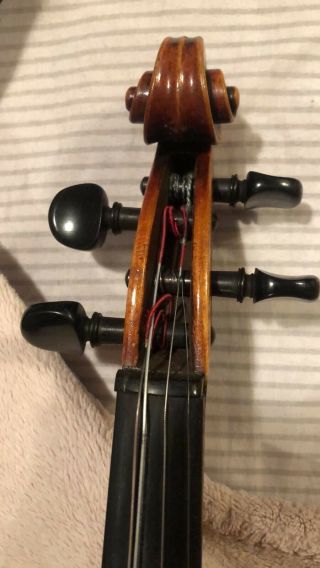 Vendo Violin 4