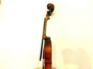 VIOLIN -,  Old Violin,  ITALY,  Label Antonio Guadagnini,  4/4 - back 35,  6 12