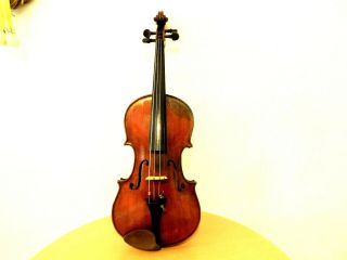 Violin -,  Old Violin,  Italy,  Label Antonio Guadagnini,  4/4 - Back 35,  6